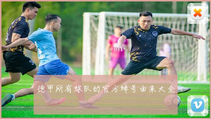 德甲所有球队的官方绰号由来大全