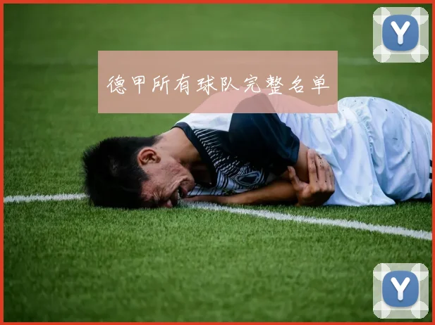 德甲所有球队完整名单