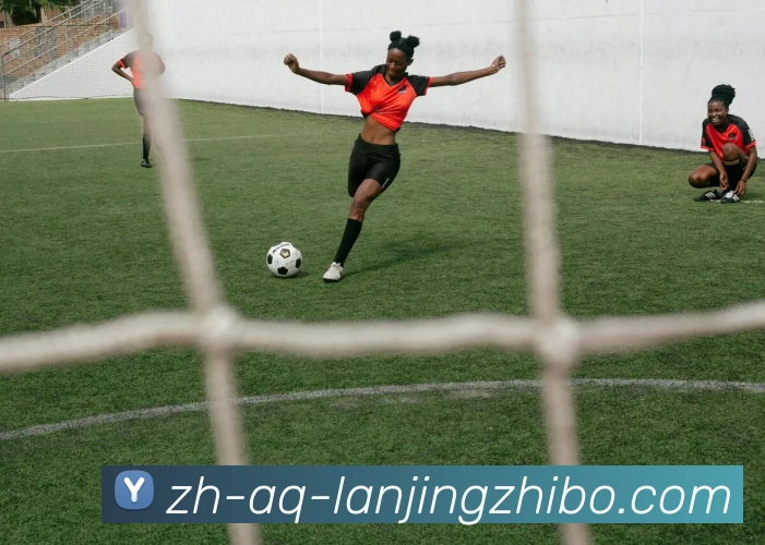 蓝鲸体育服务体系